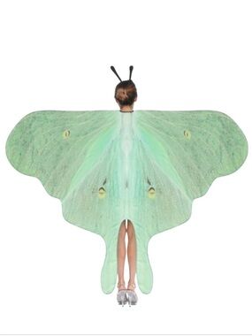 Mint Green Luna Moth Festival Butterfly Costume Set Fairy Wings Butterflies
